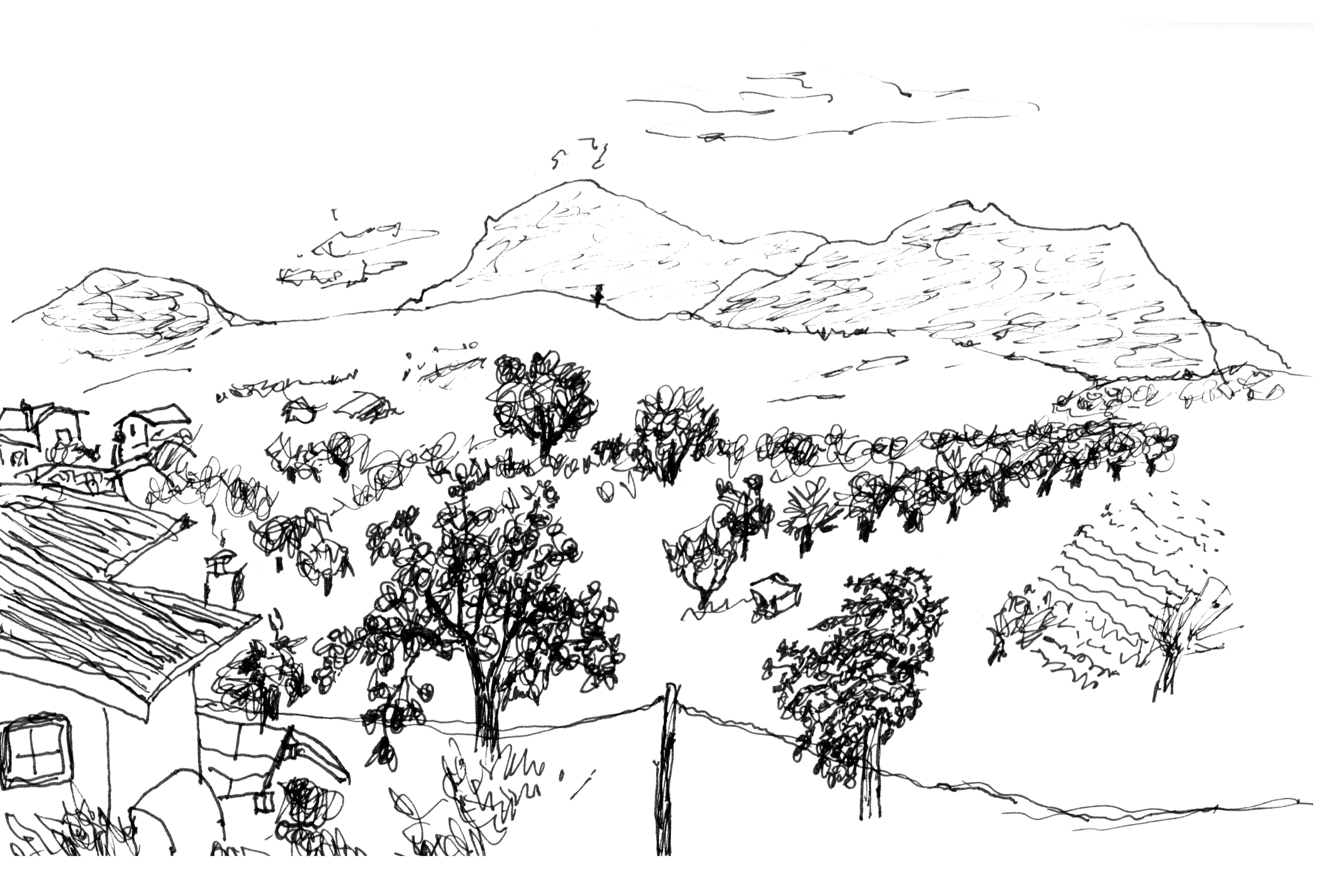 Pen and ink sketch of a hillside village — Ariano, 2010